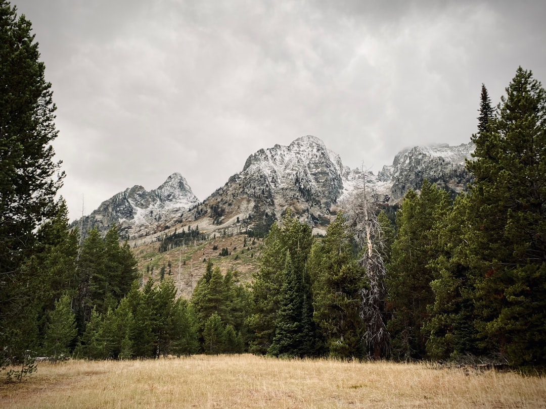 Wyoming