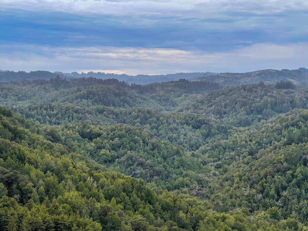 San Anselmo