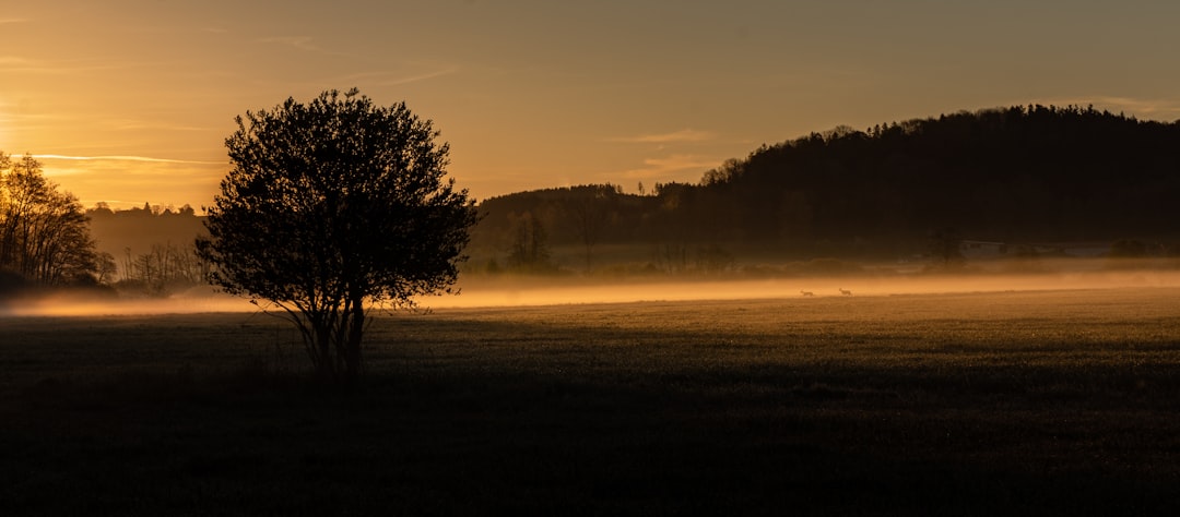 Biberach an der Riß