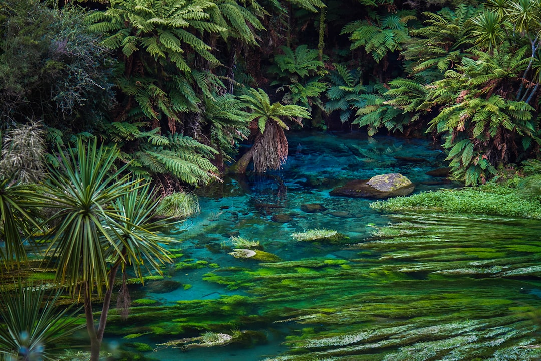 Blue Springs