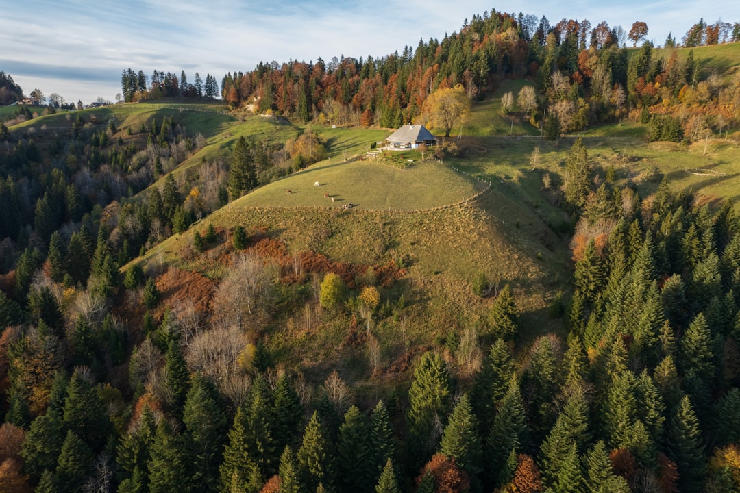 Langnau