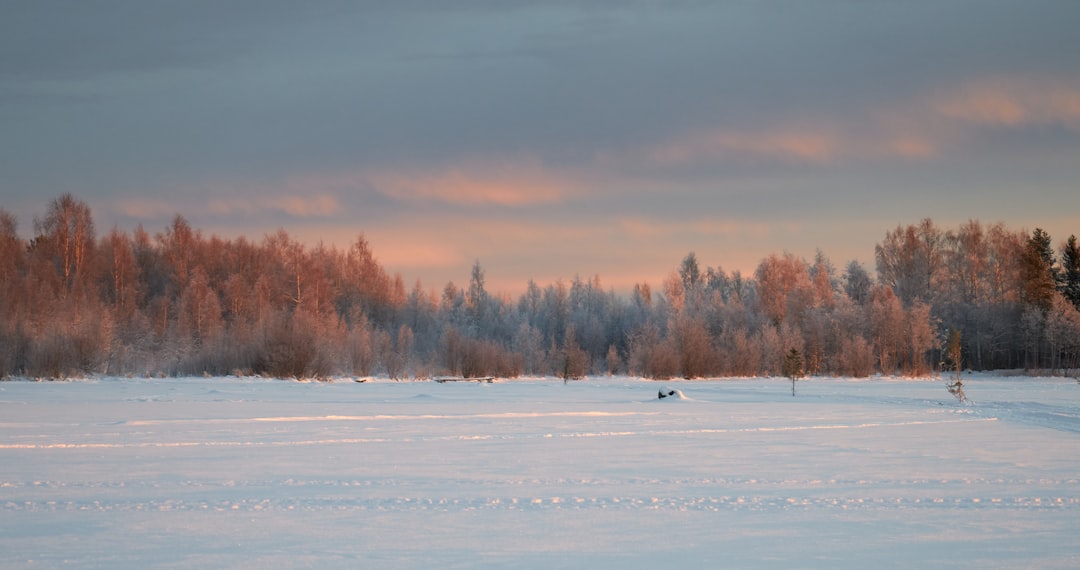 Luleå