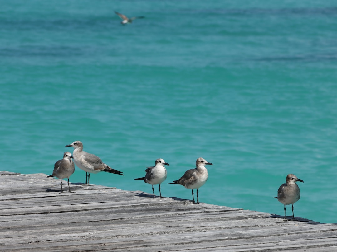 Cancún