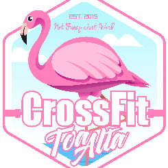 CrossFit Toa Alta