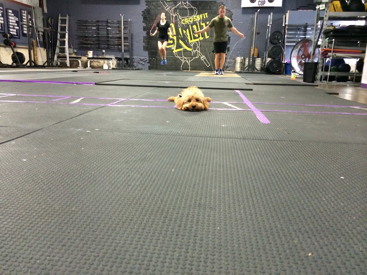 Photo of CrossFit Gambit