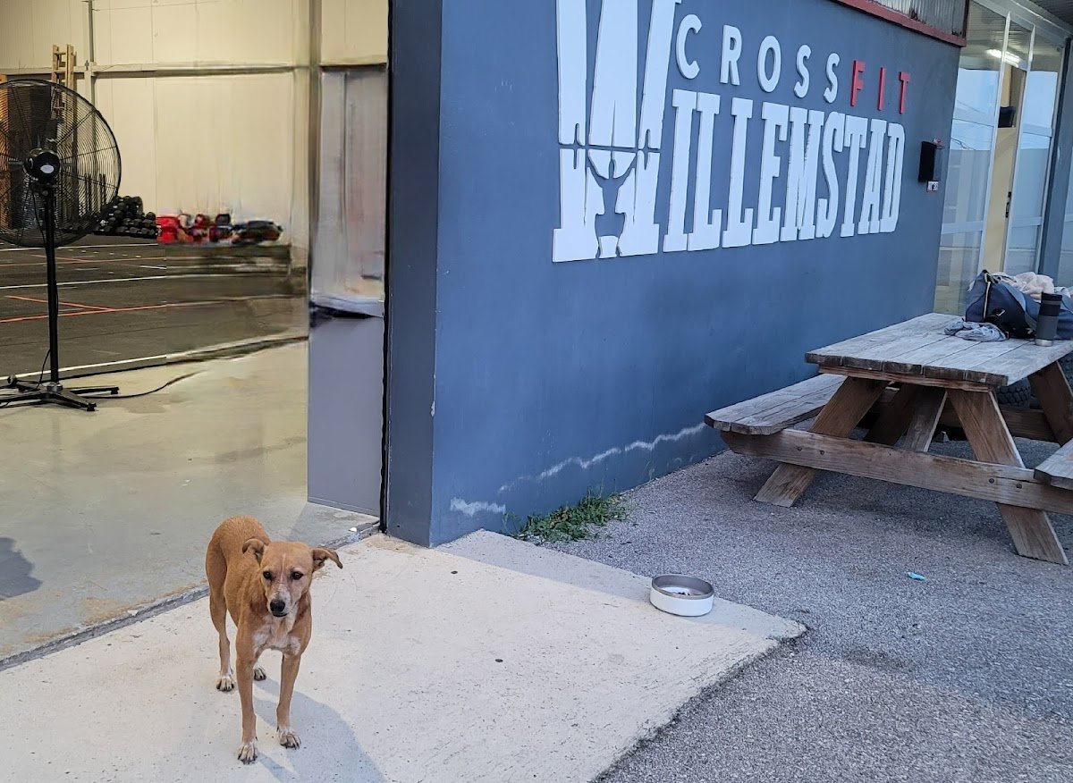 Photo of CrossFit Willemstad