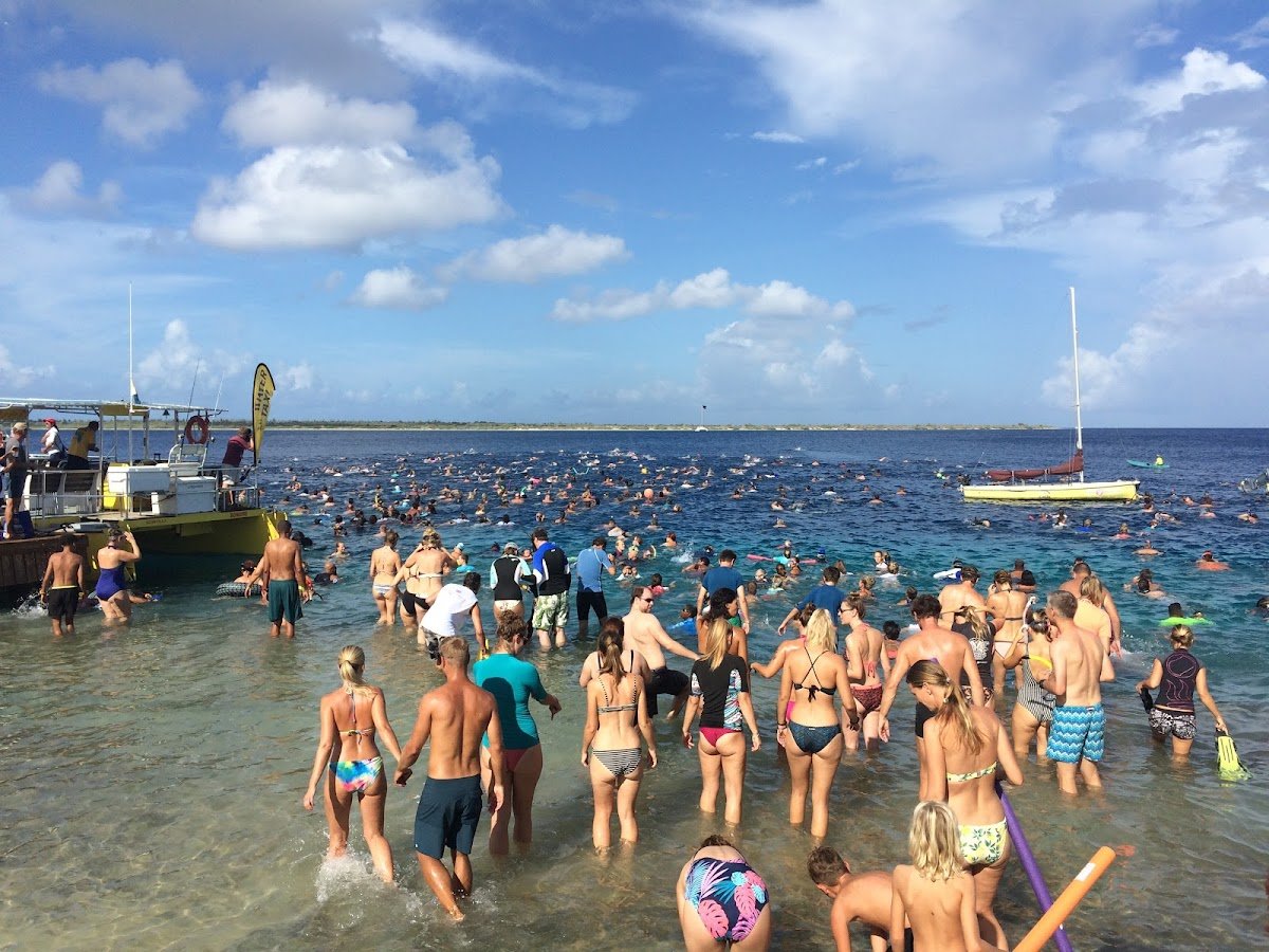 Photo of CrossFit Flamingo