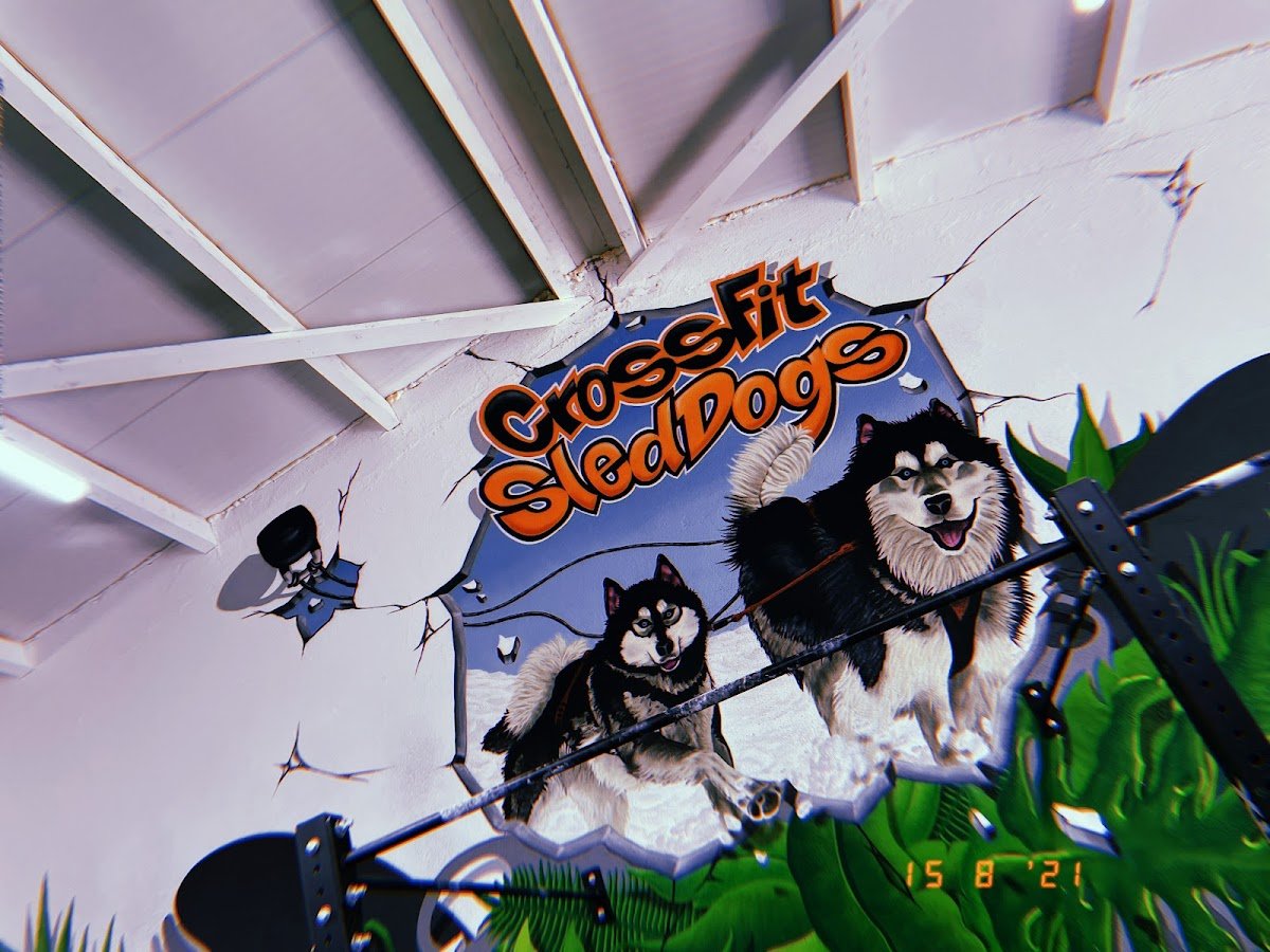 Photo of CrossFit Sleddogs