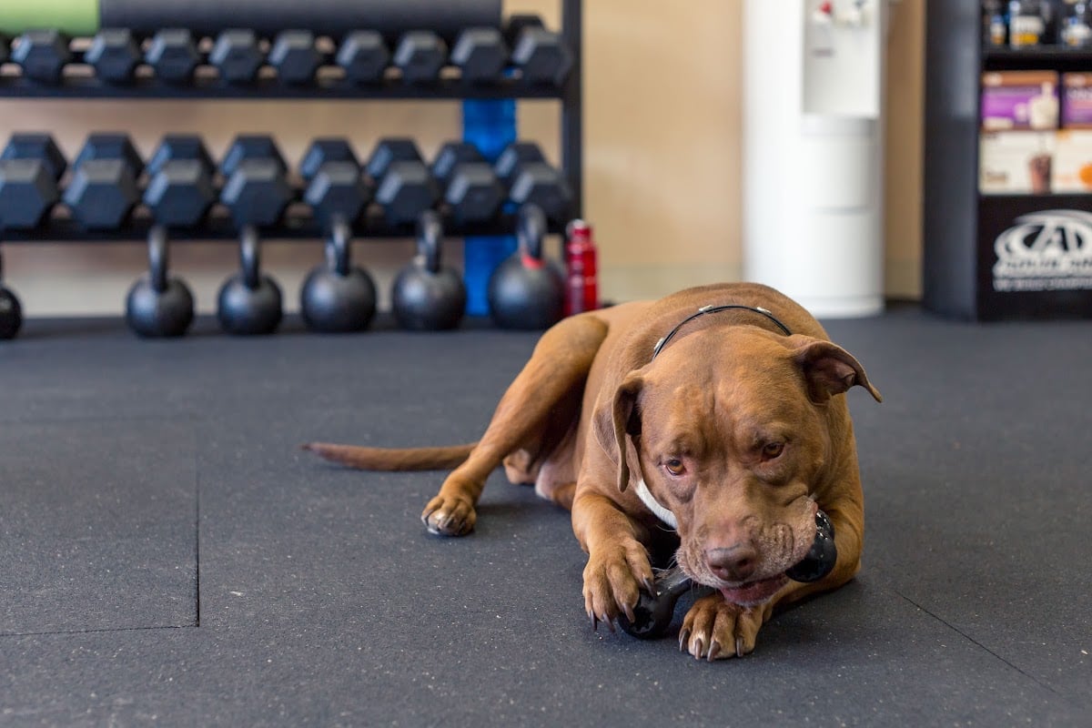 Photo of Gateway CrossFit