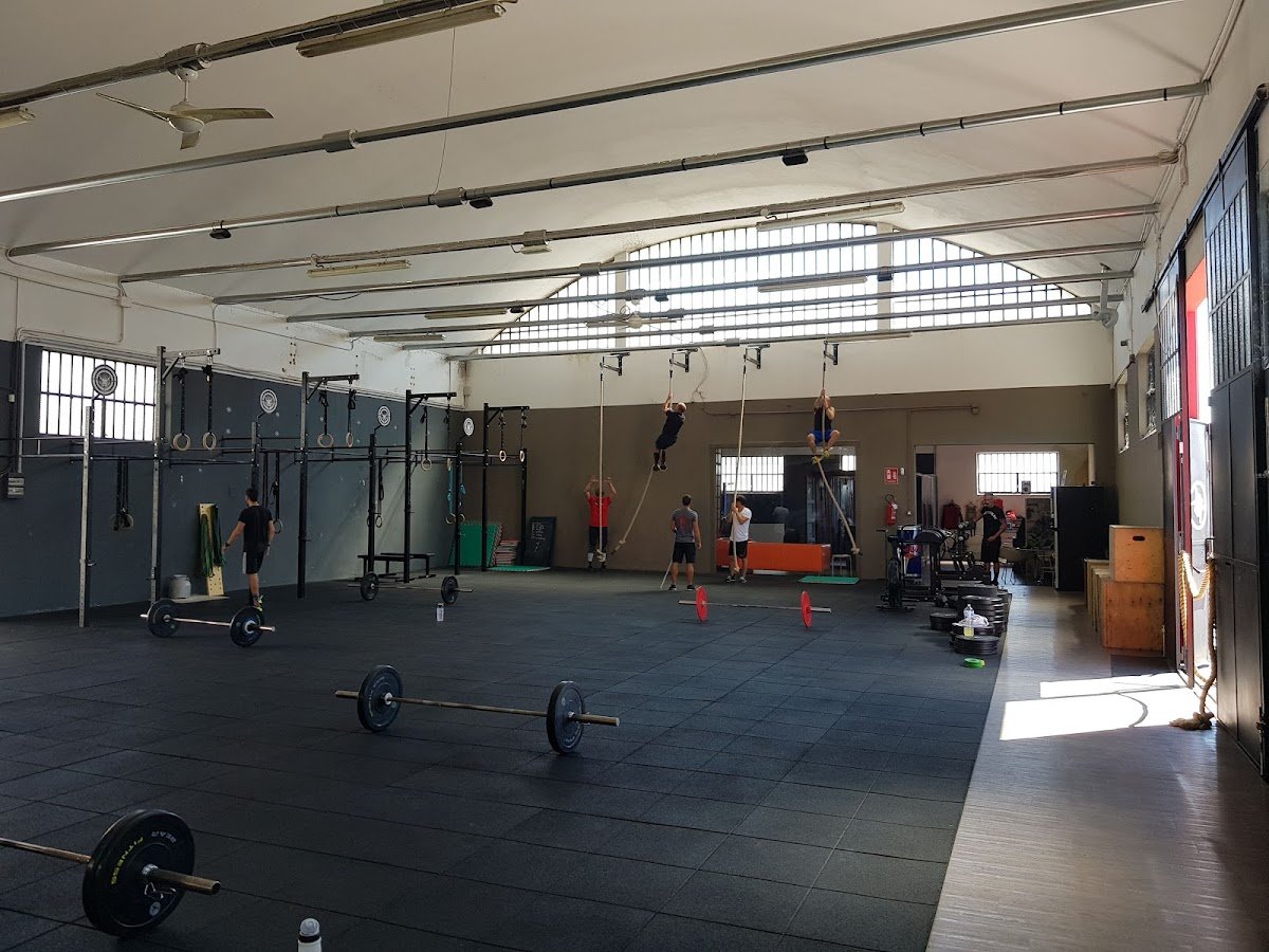 Photo of Platyno CrossFit