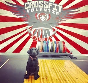 Photo of CrossFit Volentia