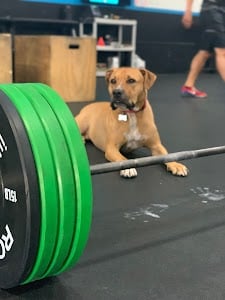 Photo of Hammer CrossFit East