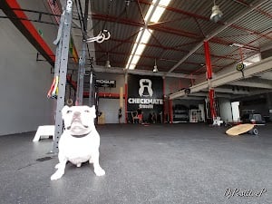 Photo of Checkmate CrossFit