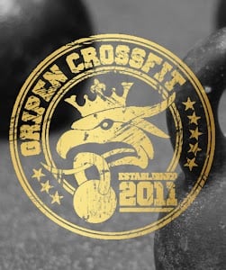 Photo of Gripen CrossFit