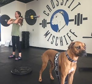 Photo of CrossFit Mischief