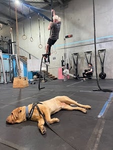 Photo of Mid Mountains CrossFit