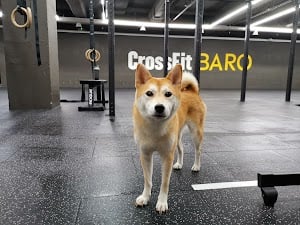 Photo of CrossFit Baro