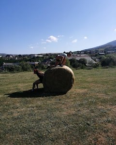 Photo of CrossFit Puigcerda