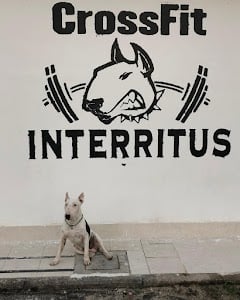 Photo of CrossFit Interritus