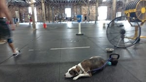 Photo of CrossFit Nola 504