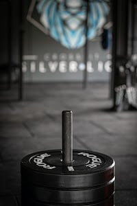 Photo of CrossFit Silver Lion